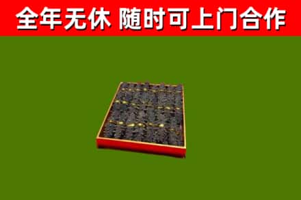 小金县回收海参